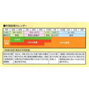 消費期限11月 キョーリン ひかり 小粒 浮 ...の詳細画像2