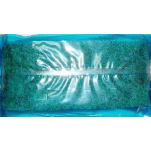 nishikigoiootani_10017232