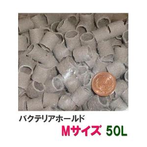 ゼンスイ バクテリアホールド Lサイズ(20Φ) 10L(5L×2） 送料無料 一部