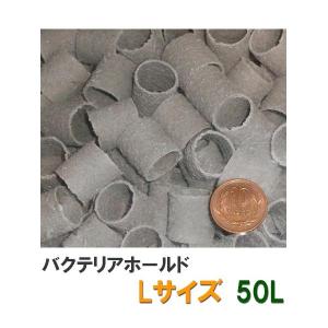 ゼンスイ バクテリアホールド 即沈下 Lサイズ(20Φ) 10L (5L×2）送料