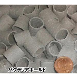 ゼンスイ バクテリアホールド Lサイズ(20Φ) 5L 送料無料 一部地域除 代引/同梱不可☆