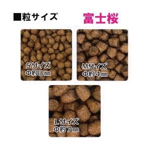 ▽日本動物薬品 富士桜 L 浮上 15kg □...の詳細画像1