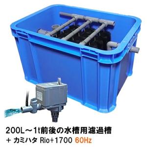 200L〜1t前後の水槽用濾過槽＋カミハタRio+1700 60Hz 送料無料 但、一部地域除