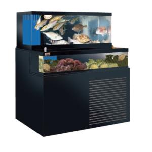 ☆ゼンスイ 2段式活魚水槽 潮 1500ZW 水槽フルセット SUS架台・PVC化粧4面・結露受付 　納期４5日前後　送料別途見積☆