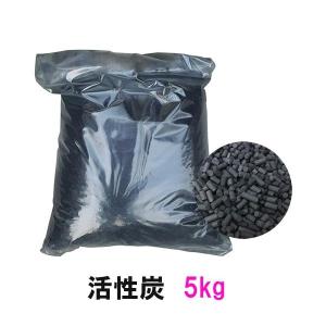 広和 活性炭 業務用 10kg(5kg×2袋)ネット無 送料無料 但、一部地域除