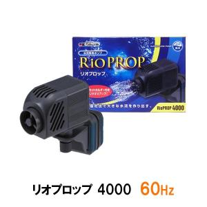 カミハタ リオプロップ 4000 60Hz(西日本用) 水流専用ポンプ 淡水・海水用 2点目より700円引｜nishikigoiootani