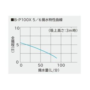 西日本用 3〜5tの池用濾過槽+日立 B-P1...の詳細画像3