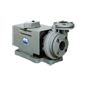 岩谷電気製作所 イワヤポンプ WP-141B 3相誘導電動機 電気工具 岩谷電気製作所 イワヤポンプ WP-141B 3相誘導電動機 電気工具 【公式