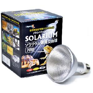 ゼンスイ SOLARIUM ソラリウム 70W 交換球 爬虫類 メタルハライドランプ 送料無料 一部地域除 □ 2点目より200円引☆