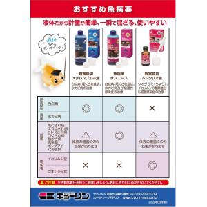 魚病薬 キョーリン ムシクリア液 30ml 動...の詳細画像1