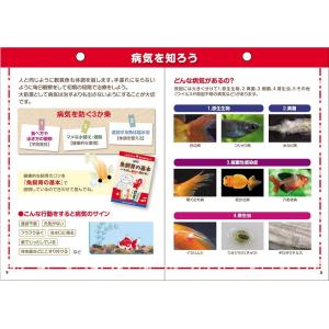 魚病薬 キョーリン ムシクリア液 30ml 動...の詳細画像2