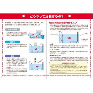 魚病薬 キョーリン ムシクリア液 30ml 動...の詳細画像3
