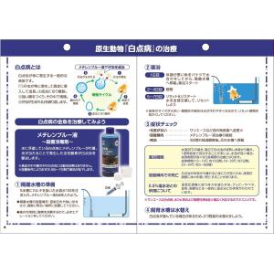 魚病薬 キョーリン ムシクリア液 30ml 動...の詳細画像5