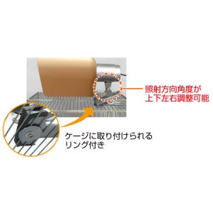 ▽ビバリア 太陽NEO NP RP-225 □☆の詳細画像2