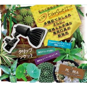 Ever Sun 365 mini 12W B...の詳細画像4