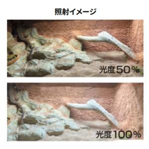 ▽Bar Type SOLARIUM バータイ...の詳細画像2