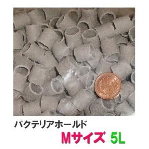 ゼンスイ バクテリアホールド 即沈下 Lサイズ(20Φ) 50L 送料無料 一部
