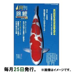 月刊錦鯉 年間購読 　送料無料 但、一部地域除 代引/同梱不可｜nishikigoiootani