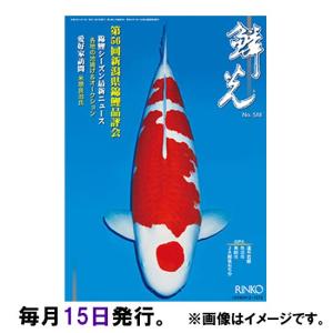 鱗光 　ネコポス便又はゆうパケ便での発送 他の商品と同梱不可/代引・日時指定不可｜nishikigoiootani