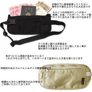 【在庫処分特価】【同梱専用】セキュリティーポー...の詳細画像1