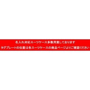 スーツケース同時購入者限り タグプレート刻印専...の詳細画像2