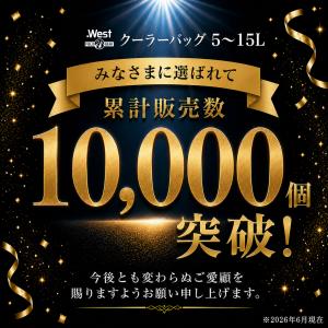 クーラーボックス クーラーバッグ 保冷バッグ ...の詳細画像1