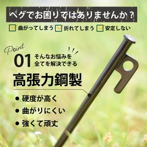 ペグ 20cm 30cm 10本セット ペグ ...の詳細画像1