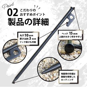 ペグ 20cm 30cm 10本セット ペグ ...の詳細画像2