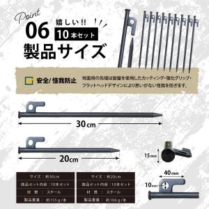 ペグ 20cm 30cm 10本セット ペグ ...の詳細画像5