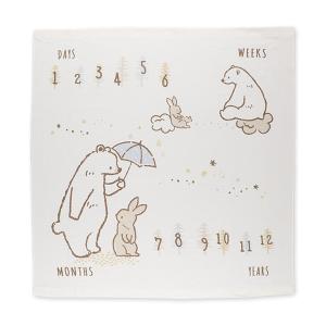 イージーアートタオル（ウサギ・くま）