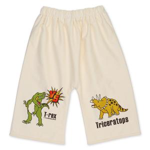 パンツ型おねしょケット（恐竜）