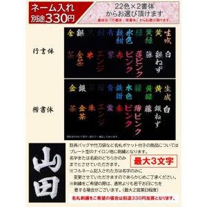 剣道 防具袋 3WAY.Bag 強化スムースナ...の詳細画像5