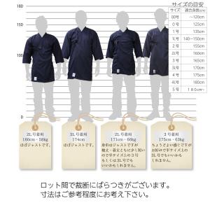 剣道 ジャージ 剣道着 エアストレッチ 響 -...の詳細画像5