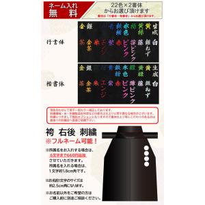 剣道 袴 正藍染 10000番 凌 中ヒダ縫 ...の詳細画像4