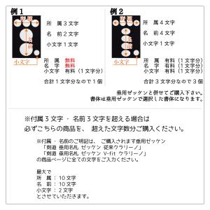 【剣道 垂用名札】 ゼッケン 名入れ追加 クラリーノの詳細画像2