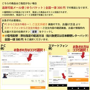 【剣道 垂用名札】 ゼッケン 名入れ追加 クラリーノの詳細画像3