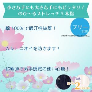 剣道 小手用 超極薄 甲手下 2カラー フリー...の詳細画像1