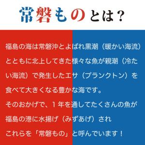 お中元 ギフト 2026 御中元 食べ物 プレ...の詳細画像2