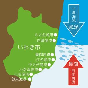 お中元 ギフト 2026 御中元 食べ物 プレ...の詳細画像4