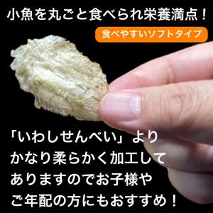 おつまみ珍味 あぶりいわしロール 75gx2パ...の詳細画像2