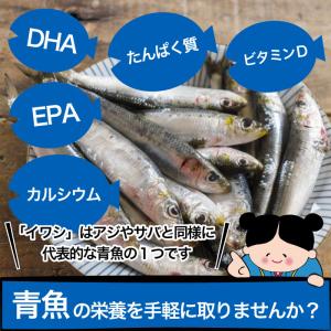 おつまみ珍味 あぶりいわしロール 75gx2パ...の詳細画像4