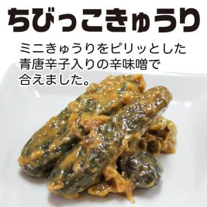 漬物 贈り物 ちびっこきゅうり200g×2袋 ...の詳細画像2