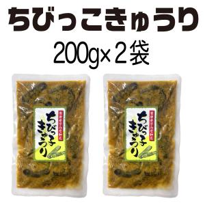 漬物 贈り物 ちびっこきゅうり200g×2袋 ...の詳細画像3