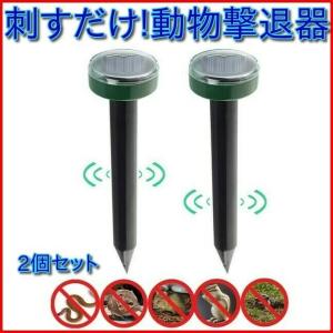 モグラ退治 モグラ撃退器 猫よけ 超音波 強力 ソーラー