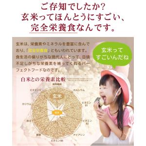 玄米珈琲(玄米コーヒー)パウダータイプ 200...の詳細画像1