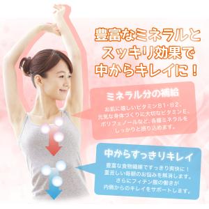 玄米珈琲(玄米コーヒー)パウダータイプ 200...の詳細画像4