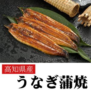 ウナギ 飼育の商品一覧 通販 Yahoo ショッピング