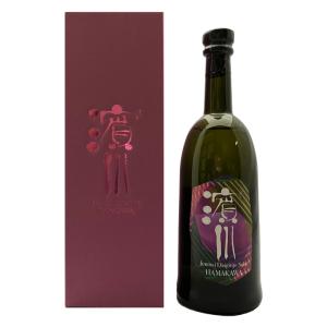 爆買 日本酒 高知 浜川商店 美丈夫　純米大吟醸【濱川】化粧箱入　720ml 26父の日