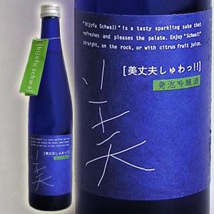 爆買 日本酒 高知 浜川商店 美丈夫 吟醸 しゅわっ!! 500ml スパークリング 炭酸 フルーティ 女子会 宅飲み びじょうふ