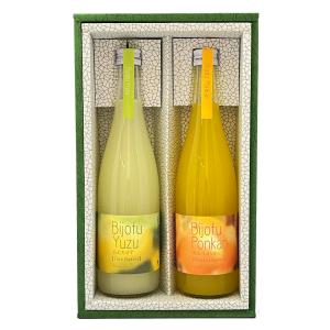 亀泉 日本酒 高知 亀泉酒造 純米吟醸 生原酒 CEL-24 1800ml ○ご購入